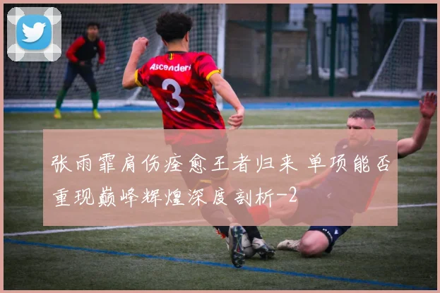 张雨霏肩伤痊愈王者归来 单项能否重现巅峰辉煌深度剖析